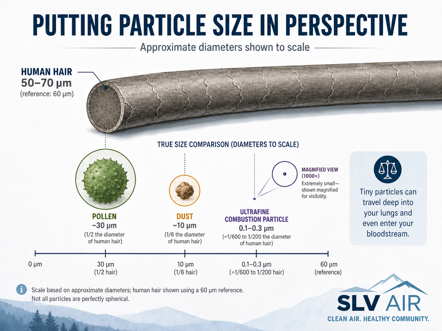Infographic comparing a human hair, pollen, dust, and an ultrafine combustion particle using approximate diameters shown to scale.